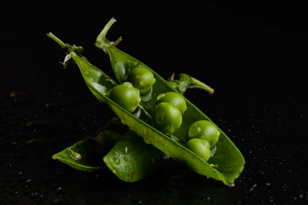 Fresh pea close-up in water drops on a black backgroundの写真素材