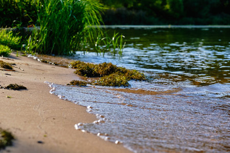 The coastline on the beach is not a lake 2019の写真素材
