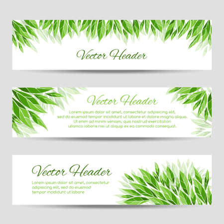 Set of vector headers with green leavesのイラスト素材