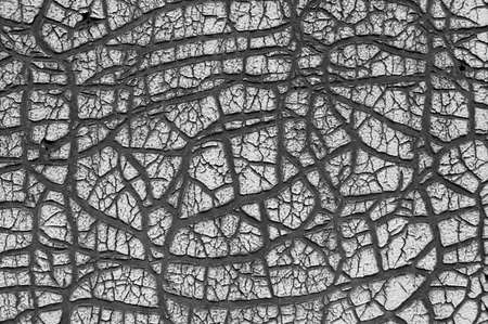 Old cracked paint texture. Damaged black surface. Close up grunge wall backgroundの写真素材