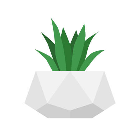Flower in trendy geometric concrete pot. Vector isolated succulent plant. Home gardeningのイラスト素材