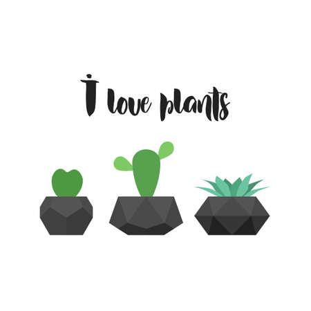 I love plants. Vector graphic for t-shirt print. Succulent and cactus plants in potsのイラスト素材