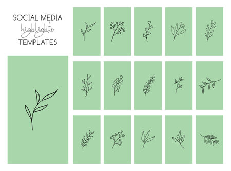 Social media highlights stories templates with hand drawn plants on a green background.のイラスト素材