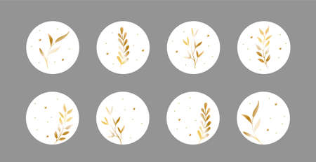 Vector highlight story cover icons for social media. Abstract circle luxury backgrounds with golden leaves.のイラスト素材
