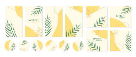 Minimal stories templates, post feed, highlights icons in yellow colors with palm leaves. Abstract organic shapes, floral summer background with copy space for textのイラスト素材