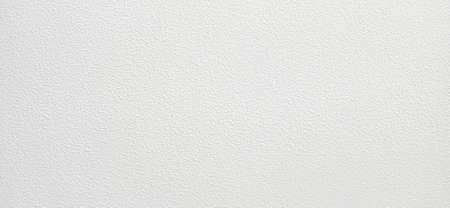 White textured paint background. Abstract plaster light textureの写真素材