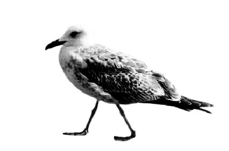 Halftone dotted cutout seagull for trendy y2k retro collages. Vector textured walking birdのイラスト素材