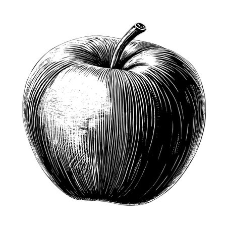 Apple engraving hand drawn isolated fruit vector illustrationのイラスト素材
