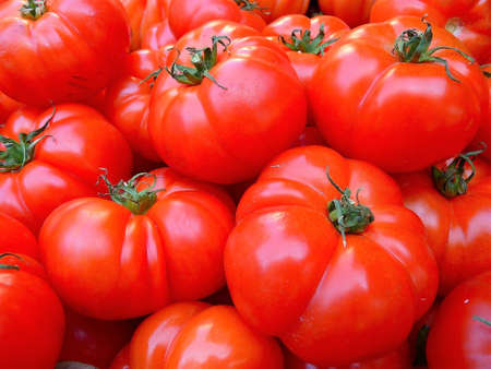 Juicy red tomato is a vegetable for cooking and snacks.の写真素材