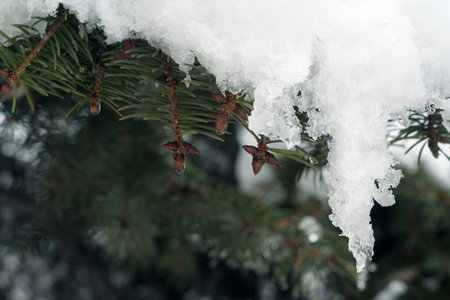 winter
