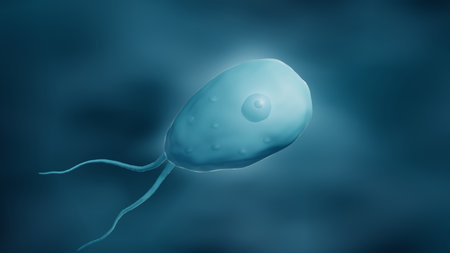 Amoeba, 3d illustrationの写真素材