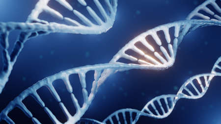 Double helix Dna, Genetics, Biochemistry and bioengineering conceptの写真素材