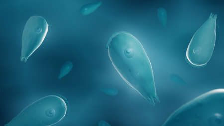 Naegleria, brain-eating amoeba 3d illustrationの写真素材