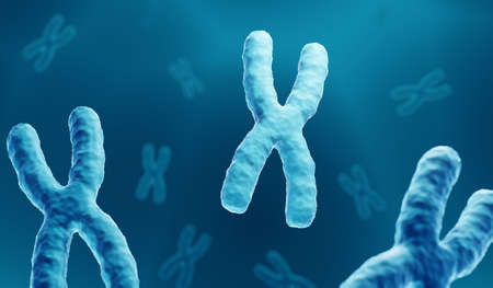 Chromosomes, Human genome conceptの写真素材