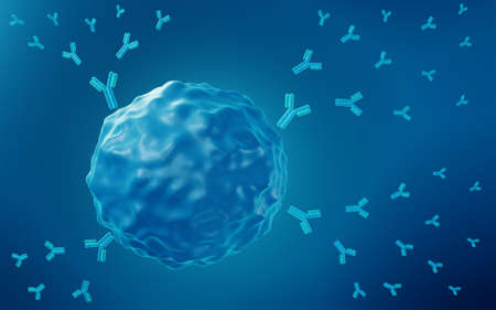 Immune response, B cell releasing antibodiesの写真素材