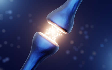 Synapse, neurotransmitter release, synaptic transmission 3d illustrationの写真素材