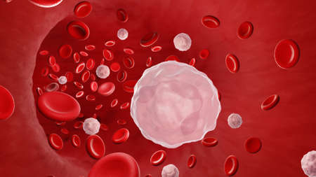 Neutrophil is a white blood cellの写真素材