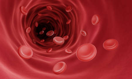 Red blood cells (erythrocytes) in blood vessel, Bloodstream conceptの写真素材