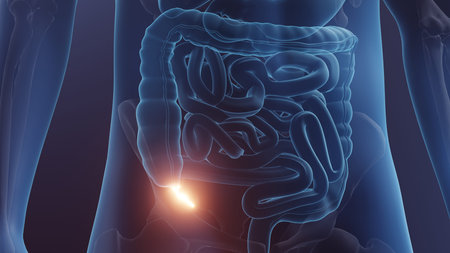 Appendix in human body, Appendicitis concept