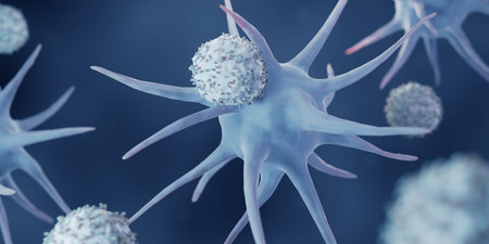 Dendritic cell activating a t-cell