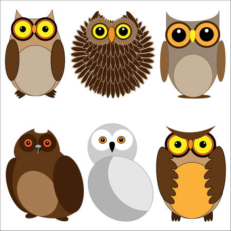 Set of different owls.のイラスト素材