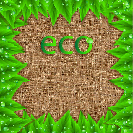 Natural frame のイラスト素材