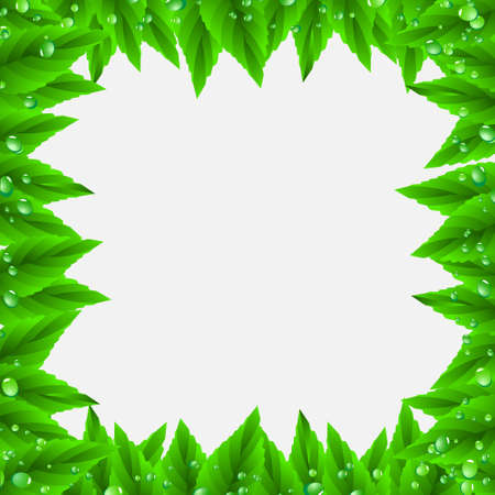 Frame of green leaves and drops.のイラスト素材