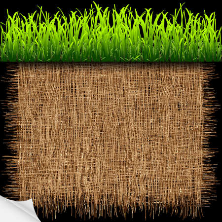 Eco background with green grass.Vector eps10のイラスト素材