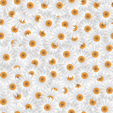 Seamless pattern of white camomiles.Vector eps10のイラスト素材