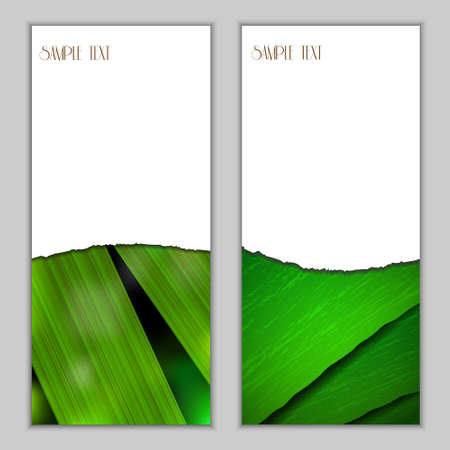 Fresh vertical seasonal banners with green leaf.Vector eps10のイラスト素材