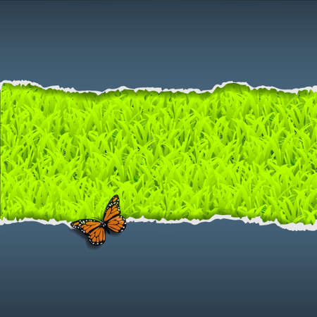 Border of torn paper with grass and butterflyのイラスト素材