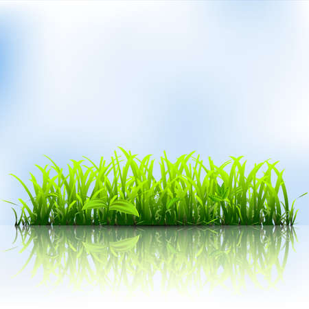 Green grass. Vector illustrationのイラスト素材
