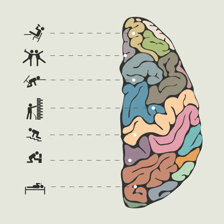 Funny concept of human brain. Vector illustrationのイラスト素材