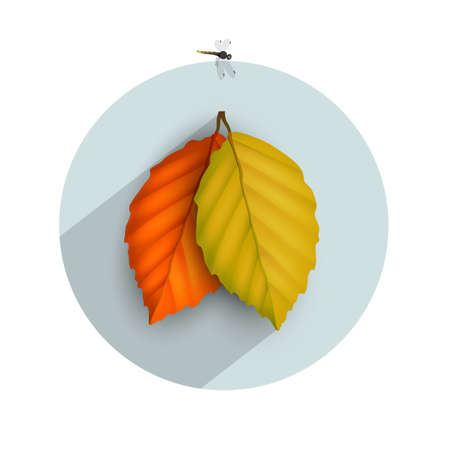 Autumnal leaf icon with long shadow. のイラスト素材