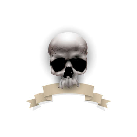Human skull with decorative ribbonのイラスト素材