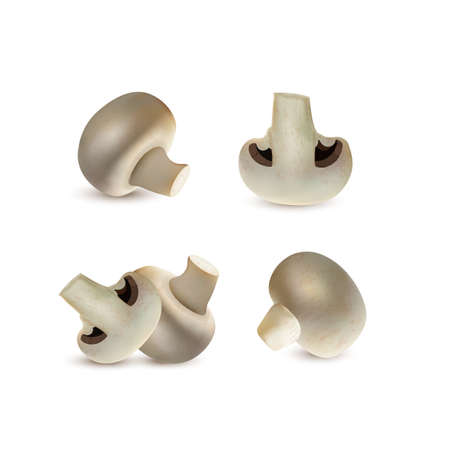 3d vector icons set of mushrooms champignons. Edible mushrooms realistic vector elements isolated on whiteのイラスト素材