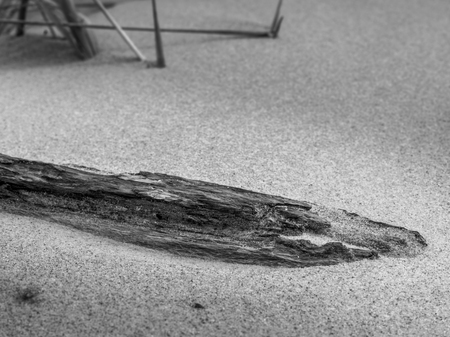 A piece of wood in sandの写真素材