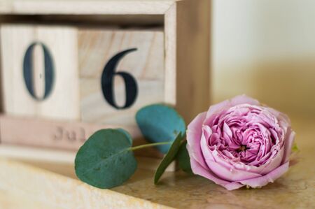 Wooden date cubes on July 6 and a rose blossomの写真素材