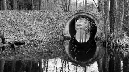 A big pipe in the woods connecting two lakes and a beautiful symetrical reflection of it on the...