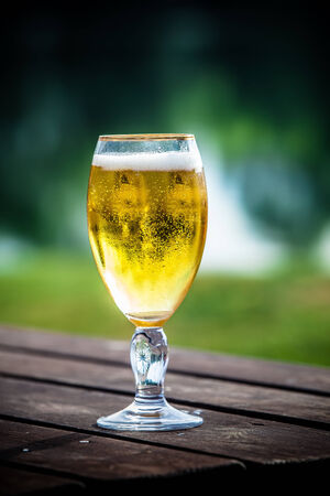 Glass of light beerの写真素材