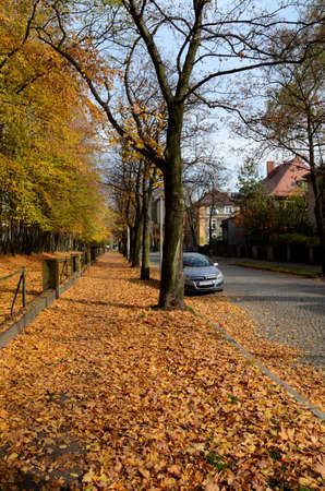 Autumn street (Gliwice)の写真素材