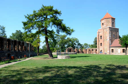 Castle Toszek in Polandのeditorial素材