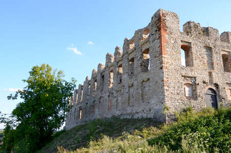 Castle Rabsztyn in Polandのeditorial素材