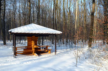 snow forestの写真素材