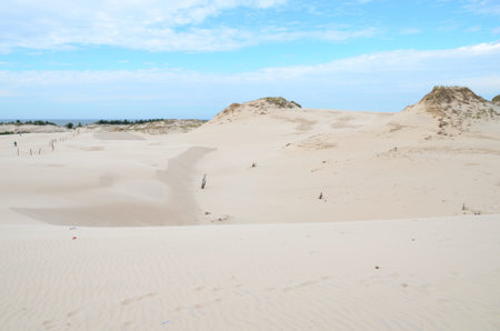 Sand dunes in the Slowinski National Park in Polandの写真素材