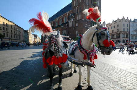 Cab in the main square - old town in Krakow, Poland