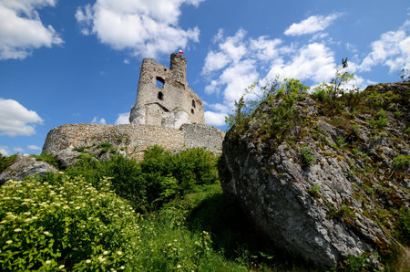 Castle Mirow in Polandのeditorial素材