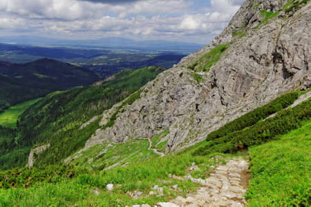 mountain trailの写真素材