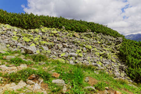 rocks in the mountainsの写真素材