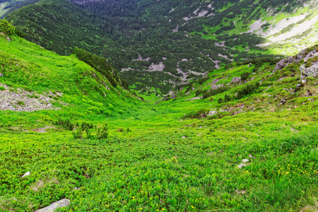 valley in the mountainsの写真素材